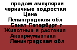 продам ампулярии черничные подростки › Цена ­ 10 - Ленинградская обл., Санкт-Петербург г. Животные и растения » Аквариумистика   . Ленинградская обл.